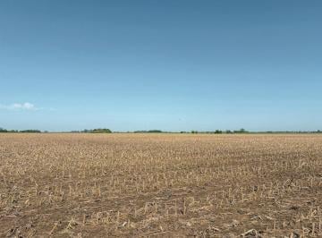 Campo · 980000ha · Excelente Campo de 98 Has en El Sur de Santa Fe