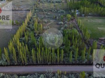 Terreno · 104m² · 6 Ambientes · Chacra 3 Héctareas en Cipolletti (Apto Desarrollo Loteo Social) con Casa y Departamentos