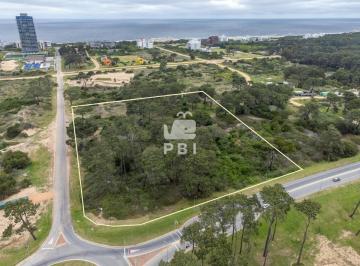 Foto1 · Lote en Venta en El Placer, Punta del Este - Ref: Pbi15352