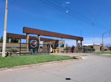 Terreno , Alvear Oeste · Vendo Lotes Barrio Privado Rincón de Mitre - Coquimbito - Maipú