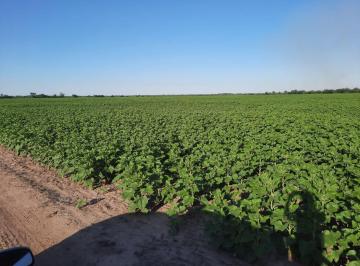 Campo · 5460000m² · Campo en Venta