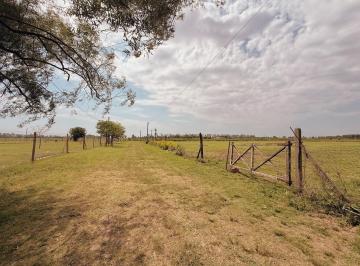 Terreno · 10000m² · Guardarrama 3250 Bis - Terreno de 1 Ha con Cabaña - Ibarlucea