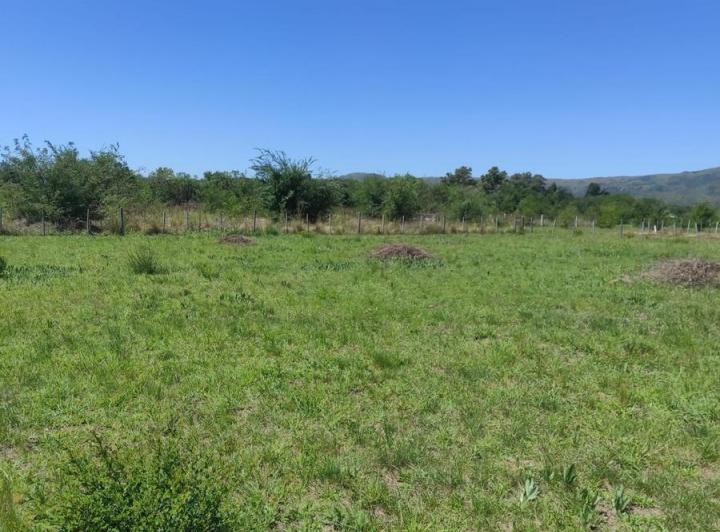 Terreno · 825m²