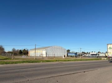 Depósito , Colón · Alquiler de Galpon Sobre Ruta 8 Km 277,5 Colon Bs As Ideal Uso Agroindustrial