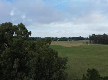 Terreno · 240000m² · Terreno de 24 Ha - en Venta - Apto Subdivision - Doble Acceso por Ruta 41 y Ruta 3