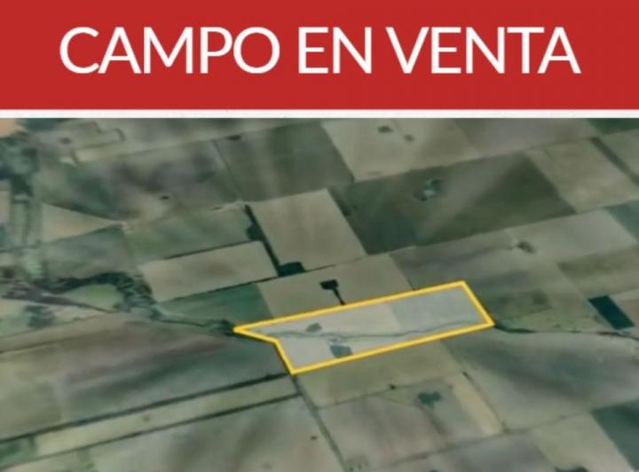 Campo · 49ha