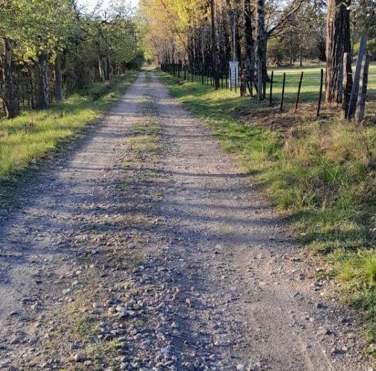 Terreno · 90000m²