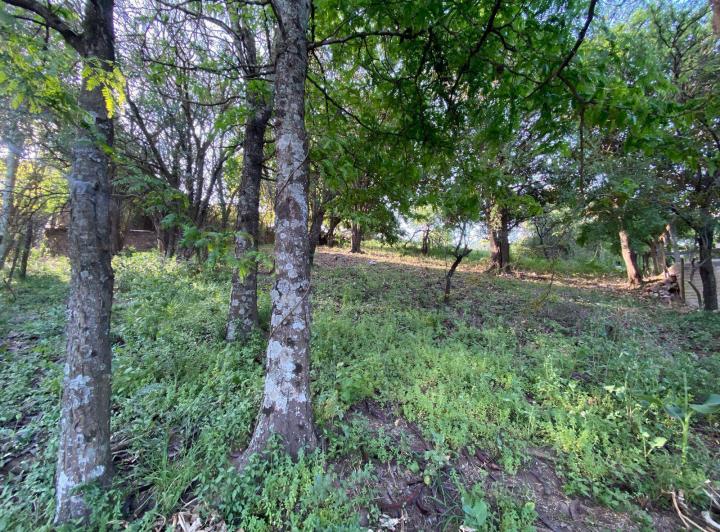 Terreno · 1294m²