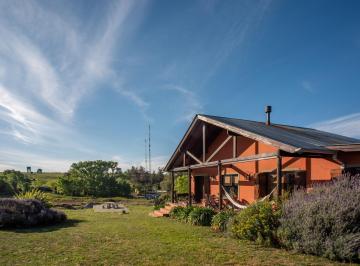 Campo · 16856m² · 7 Ambientes · Chacra La Peregrina