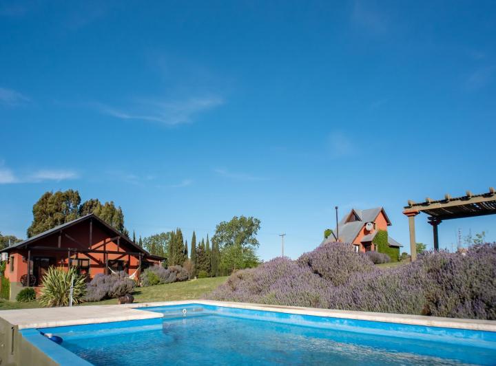 Campo · 16856m² · 7 Ambientes
