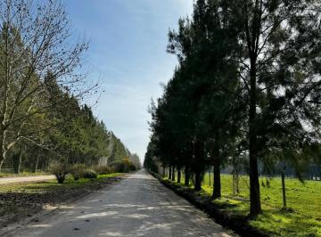 Terreno · 2250m² · Lote en Venta en Campos de Roca 2