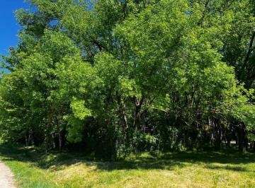 Terreno · 200m² · Lote en Venta en El Rincon Villa Elisa
