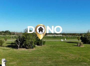 DOP-DOP-2135_2 · Lote. | 63