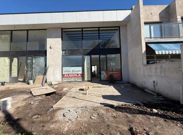 Local comercial · 165m² · Local - Las Colinas P. Ramos