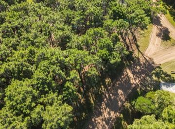 Terreno · 998m² · Lote en Venta Pinamar Alamos