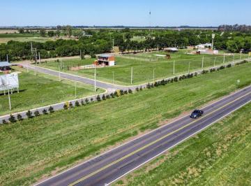 Terreno · 390m² · Terreno - Punta Verde