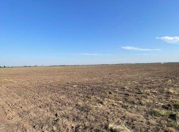 Campo , Bouwer · Venta Campo Agricola - 200 Ha - Zona Bower - Ideal Inversores