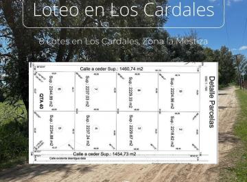 Terreno · 2300m² · Loteo Zona Mestiza, Los Cardales