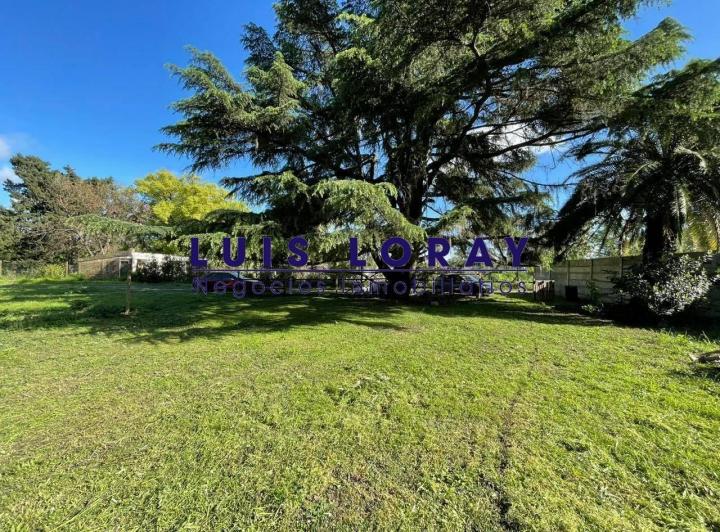 Terreno · 1405m²