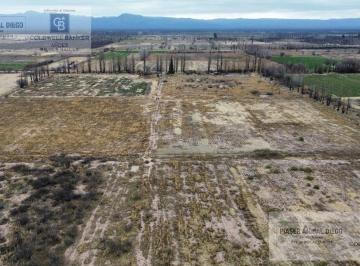 Campo · 10ha · Finca en Blanco Excelente Tierra