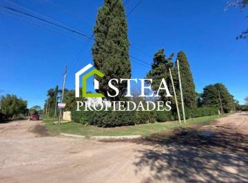 SPC-SPC-42_2 · Terreno - Monte Grande
