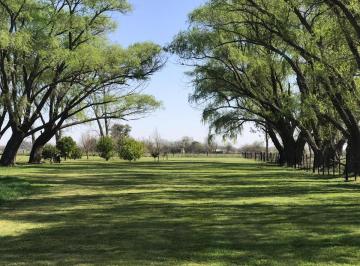 Campo · 170m² · 4 Ambientes · Casa - Torres