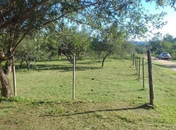 Terreno · 462m² · Ava. Lote en Santa Monica