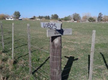 Terreno , Cañuelas · Oportunidad! 4 Lotes en Venta en Maximo Paz