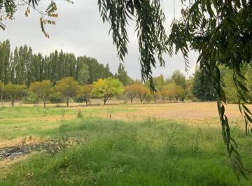 Campo · 228m² · 8 Ambientes · 1 Cochera · Vende Chacra 4 Ha en Senillosa