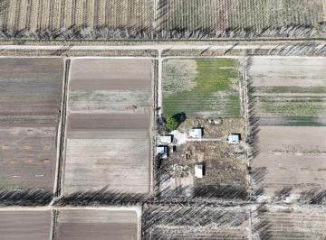 Campo · 100000ha · Chacra en Mainque