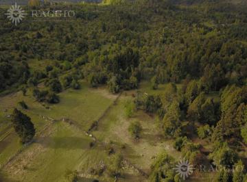 Terreno · 10000m² · Chacra de 2ha en Mallin Ahogado con Arroyo de Riego (Ez - 46)