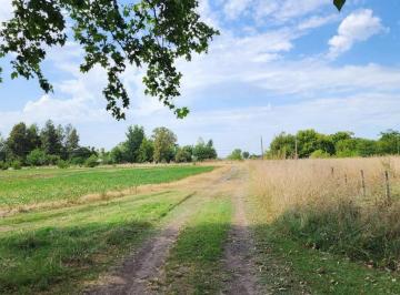 Campo · 7600m² · 1 Ambiente · Campo Sobre Ruta 41, con Chalet de Dos Dorm.