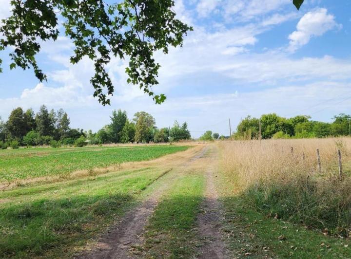 Campo · 7600m² · 1 Ambiente