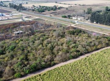 Terreno · 41500m² · Terreno Industrial en Ruta Nacional 9, Km 1281, San Andrés, Dpto. Cruz Alta, Tucumán