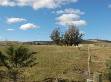 Terreno , Uruguay · Terreno Campo en Venta Ubicado en Laguna del Sauce, Punta del Este