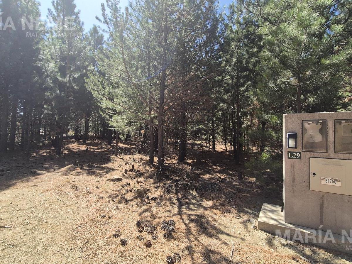 Lote L29 en Club de Campo Dos Valles, San Carlos de Bariloche, Río Negro