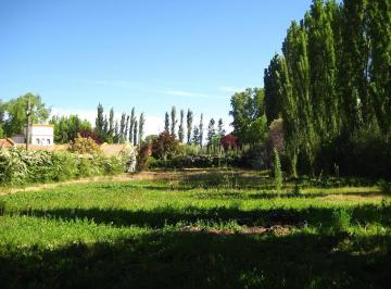 Terreno · 1200m² · Terreno en Venta 1200 m² en Chacras de Coria, Luján de Cuyo