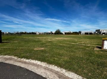Terreno · 991m² · Rbs. Hermoso Lote en Area 8, San Sebastian