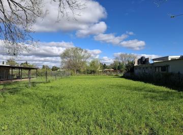 Terreno · 810m² · Terreno 810 m² en Oliveros, Santa Fe - Usd 24.000