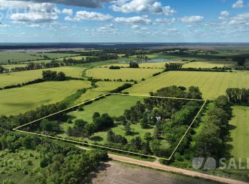 Campo · 80000m² · Chacra - Alsina