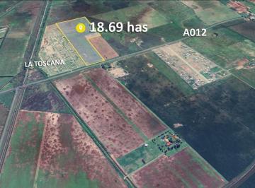 Campo · 180000ha · Campo Para Desarrollo de Barrios y Loteos Sobre A012, Lindero a La Toscana
