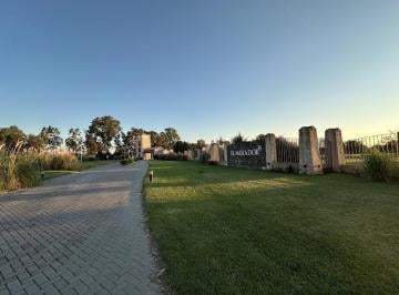 Terreno · 1250m² · Terreno en El Mirador, Muy Buena Ubicación a Pasos del Spa