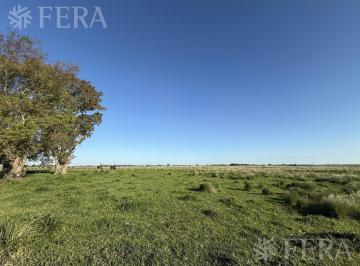 Terreno , La Plata · Venta Lote de 80 Hectáreas en Arana - La Plata