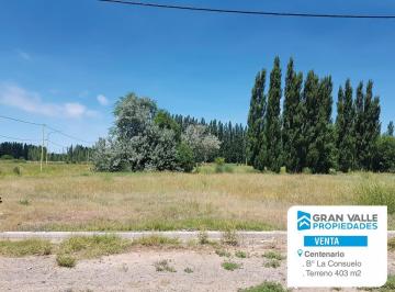 Terreno · 403m² · Terreno - Centenario