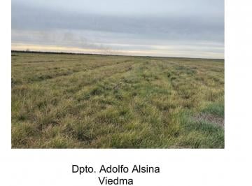 Campo · 6500000m² · Campo en Viedma