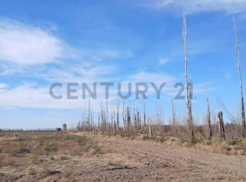 Terreno · 30000m² · Se Vende Terreno en San Rafael