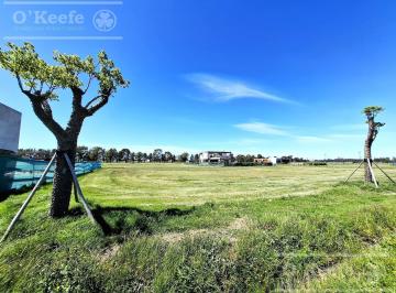 Terreno · 1000m² · Lote Central en Venta de 1000 m en Puerto Nizuc - Posesión Inmediata - Guillermo Hudson