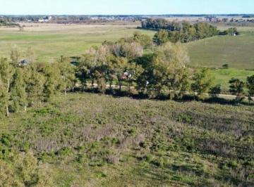 Campo · 5m² · Terreno Campo en Venta en Altos de Robles, Parada Robles, Exaltación de La Cruz