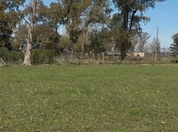 Campo · 5m² · Terreno Campo en Venta en Altos de Robles, Parada Robles, Exaltación de La Cruz