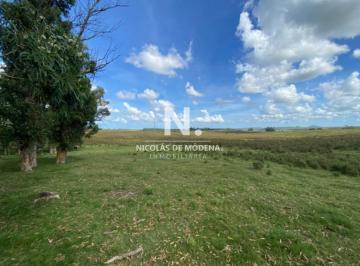Foto1 · Venta de Campo en Laguna del Sauce de 112 Ha